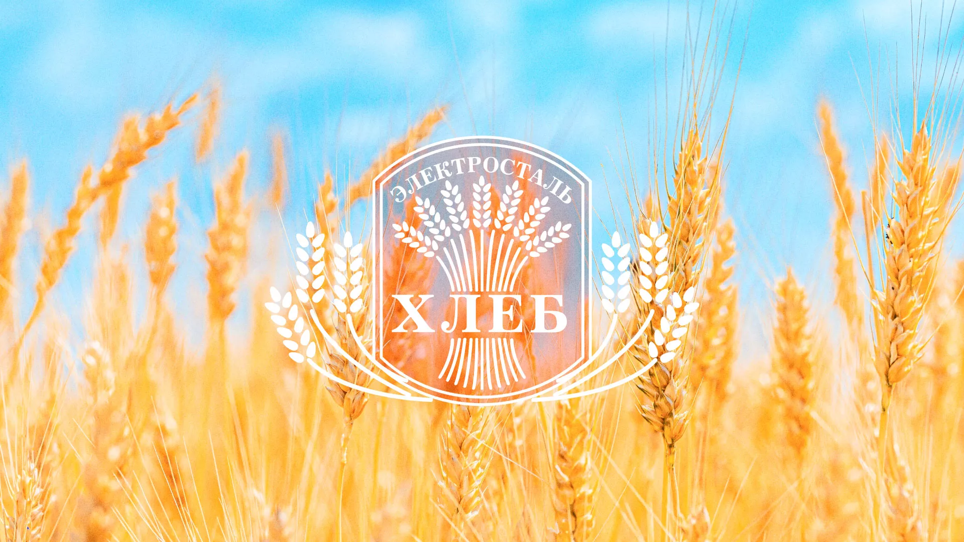 Создание сайта для хлебзавода в Южно-Сухокумске