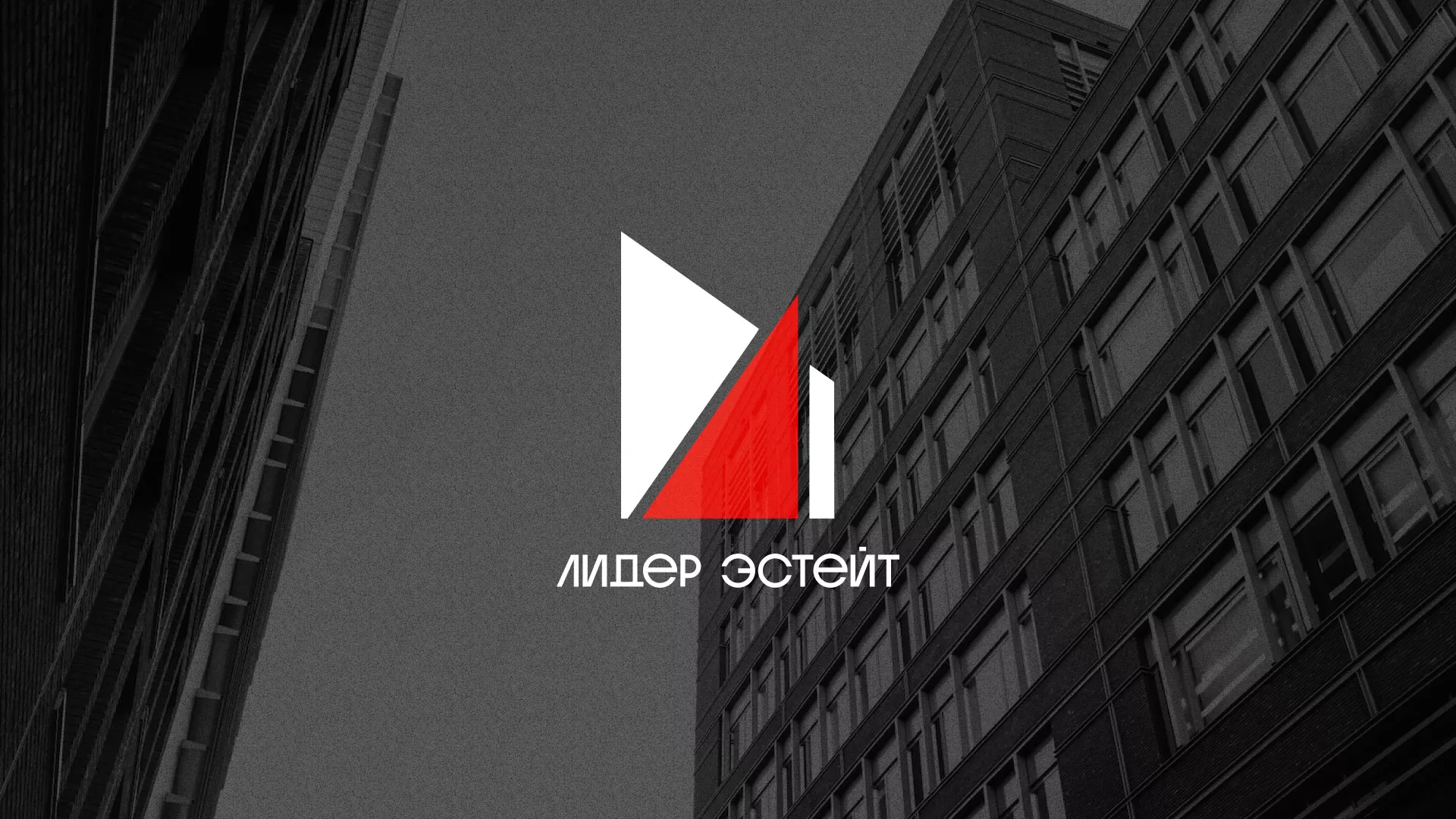 Сделали логотип для агентства недвижимости «Лидер Эстейт» в Южно-Сухокумске